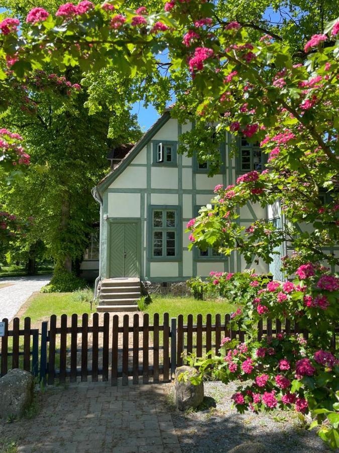 نويشتات-غليفه Jagdschloss Friedrichsmoor المظهر الخارجي الصورة